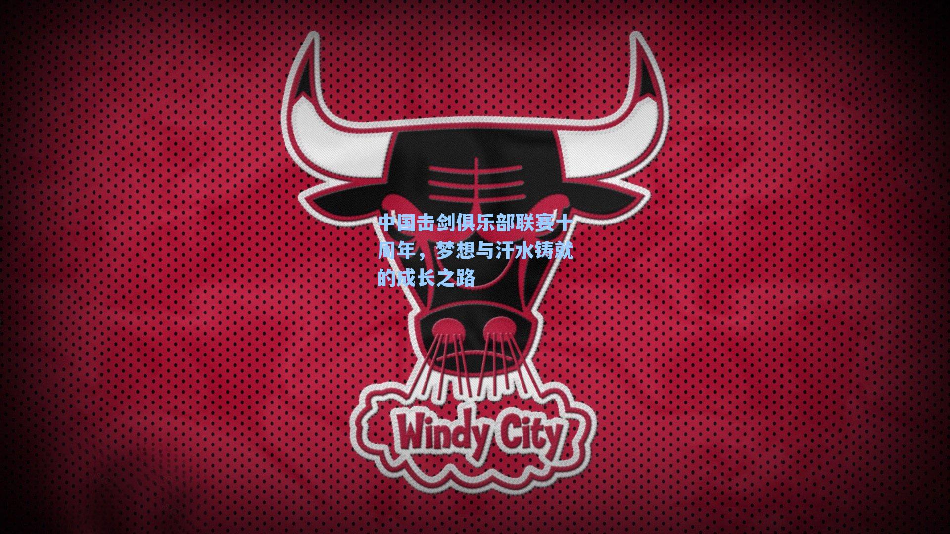 中国击剑俱乐部联赛十周年,梦想与汗水铸就的成长之路