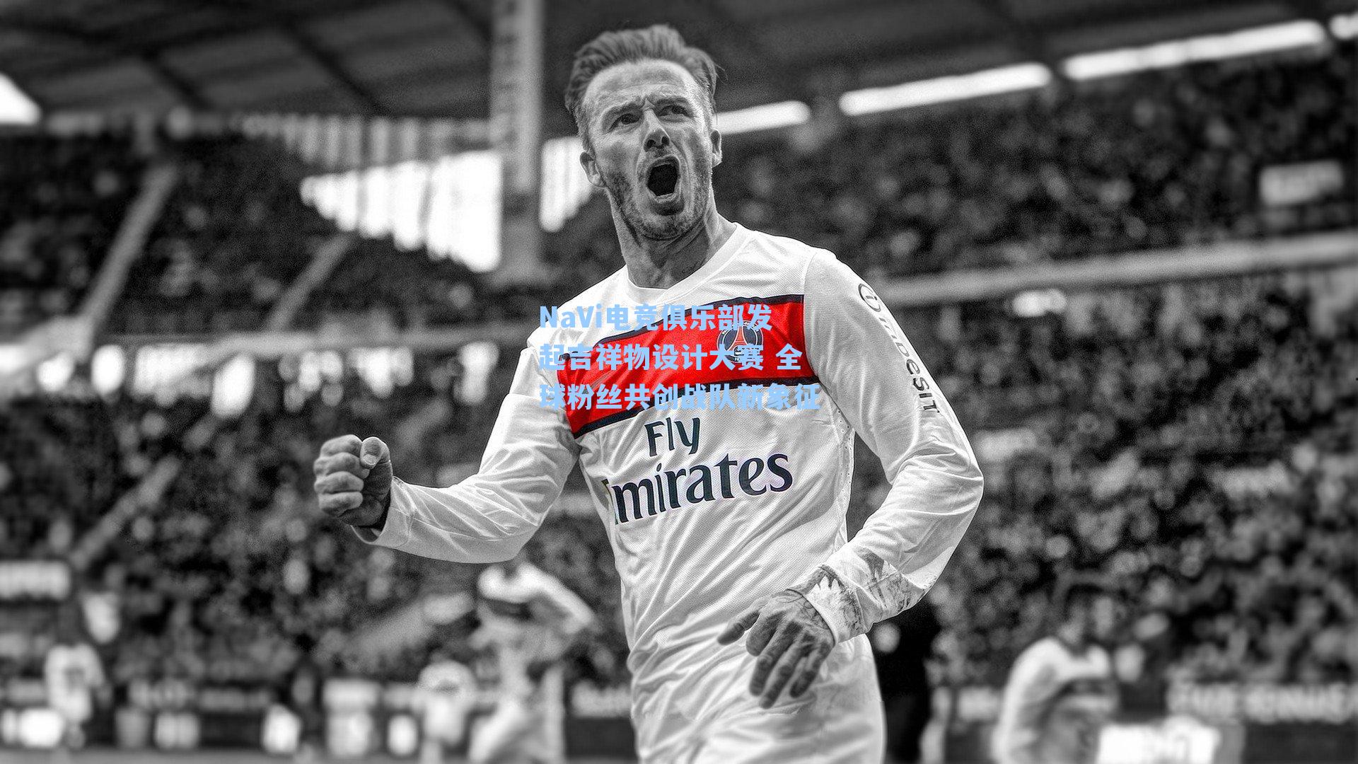 NaVi电竞俱乐部发起吉祥物设计大赛 全球粉丝共创战队新象征