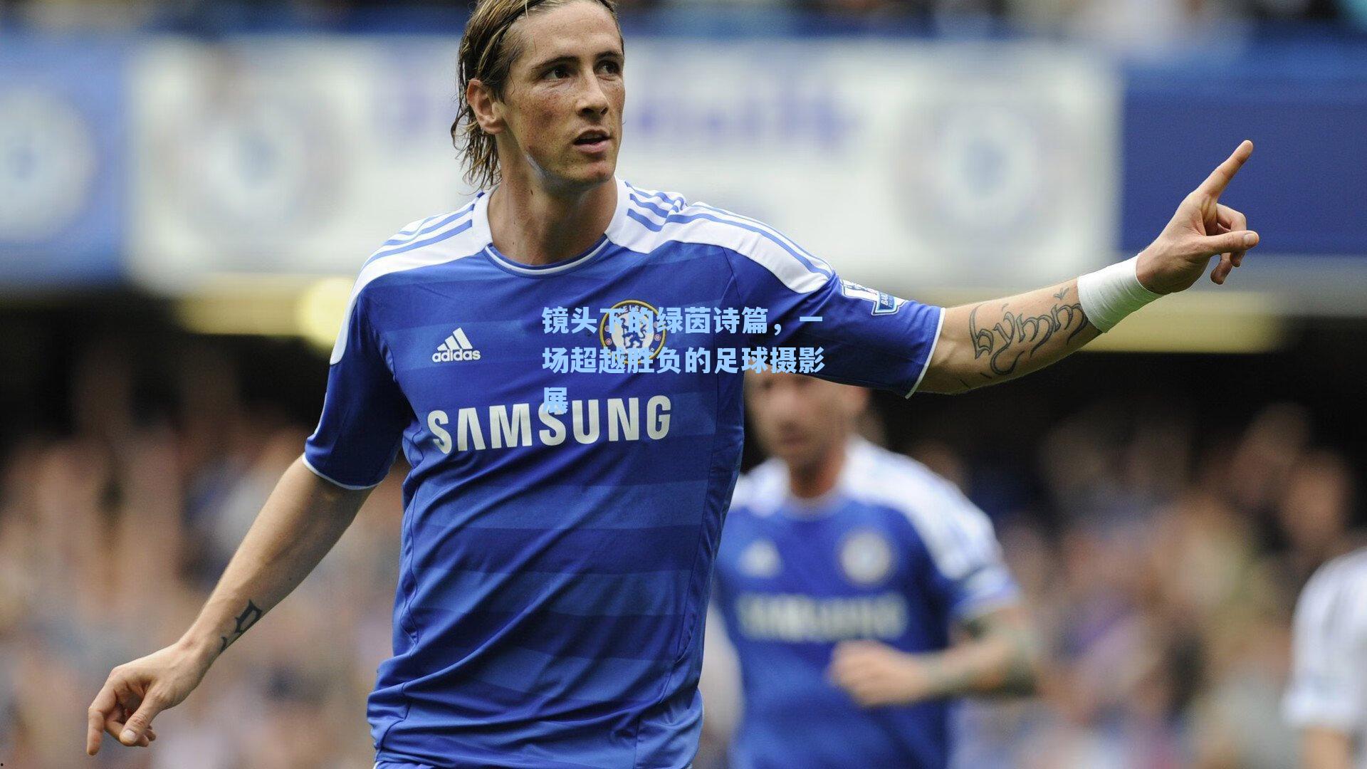 镜头下的绿茵诗篇，一场超越胜负的足球摄影展